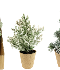 4978 DISPALY W.TREES NORDIC CHARM S/12